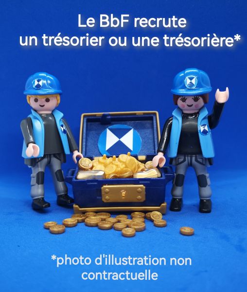 Le Bouclier bleu France cherche son/sa trésorier.ère adjoint.e ! Et si c'était vous ?